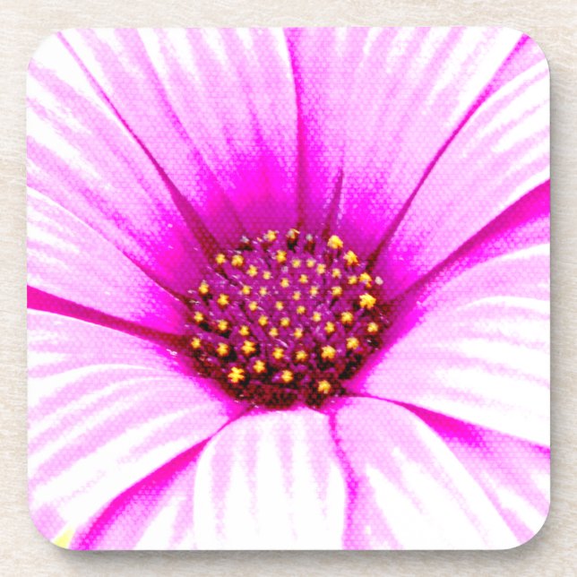 Pink Daisy Flower Coasters (Front)