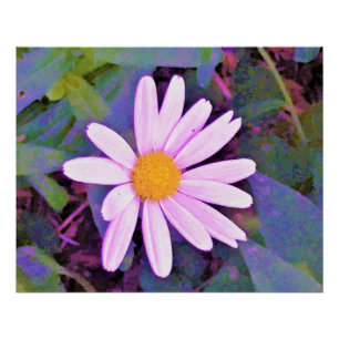 Pink Daisy Flower Poster