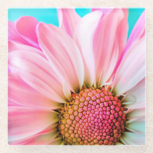 Pink Daisy Glass Coaster