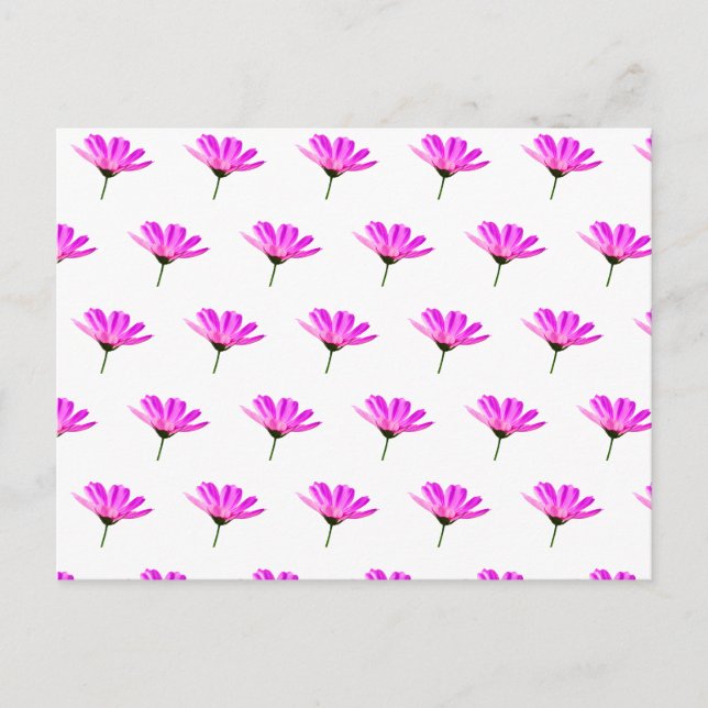 Pink Daisy   Holiday Postcard (Front)