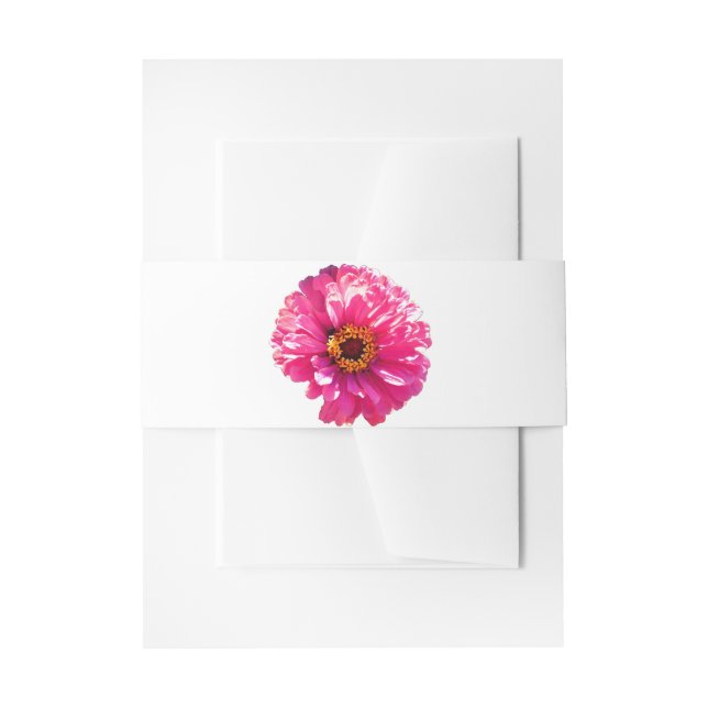 Pink Daisy Invitation Belly Band (Front Example)