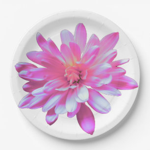 Pink daisy pink floral pink flower paper plate
