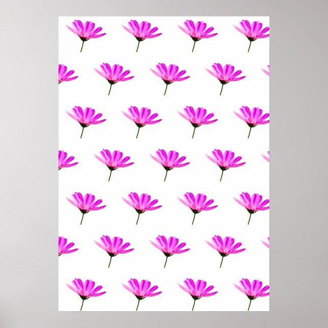 Pink Daisy  Poster (Front)