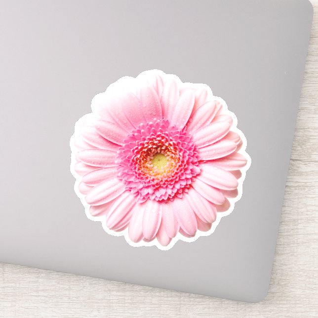 Pink Daisy Pretty Sticker (Detail)
