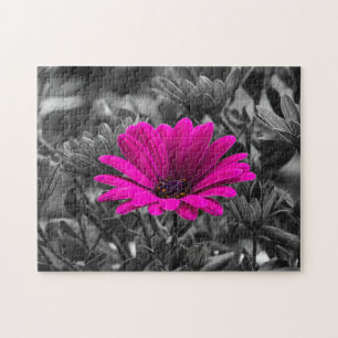 Pink Daisy Puzzle