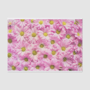 Pink Daisy Tissue Paper