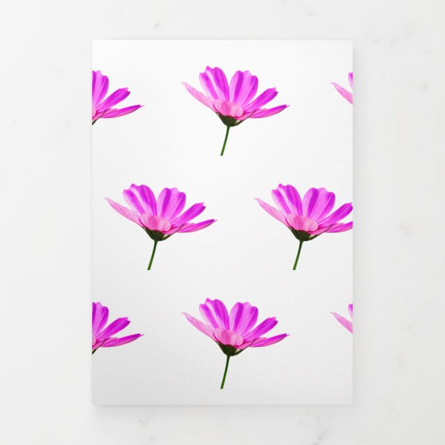 Pink Daisy  Tri-Fold Announcement (Cover)