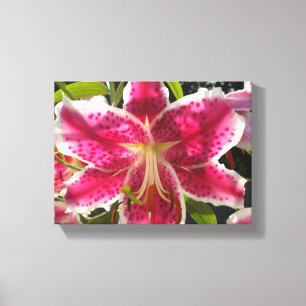 Pink Day Lily Canvas Print