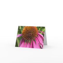 Pink Day - Thank you Cards