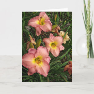 Pink Daylilies - Sister Birthday Card