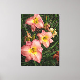 Pink Daylilies Wrapped Canvas