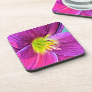 Pink Daylily Bloom Floral Coaster