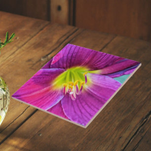 Pink Daylily Bloom Floral Tile