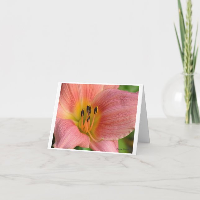 Pink Daylily Card (Front)