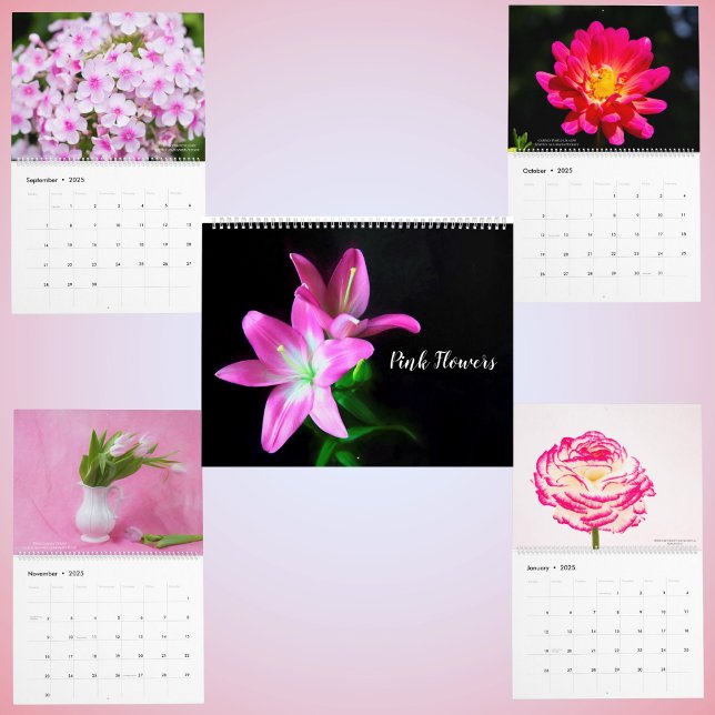 Pink Delicate Blossoms Floral Calendar (Creator Uploaded)