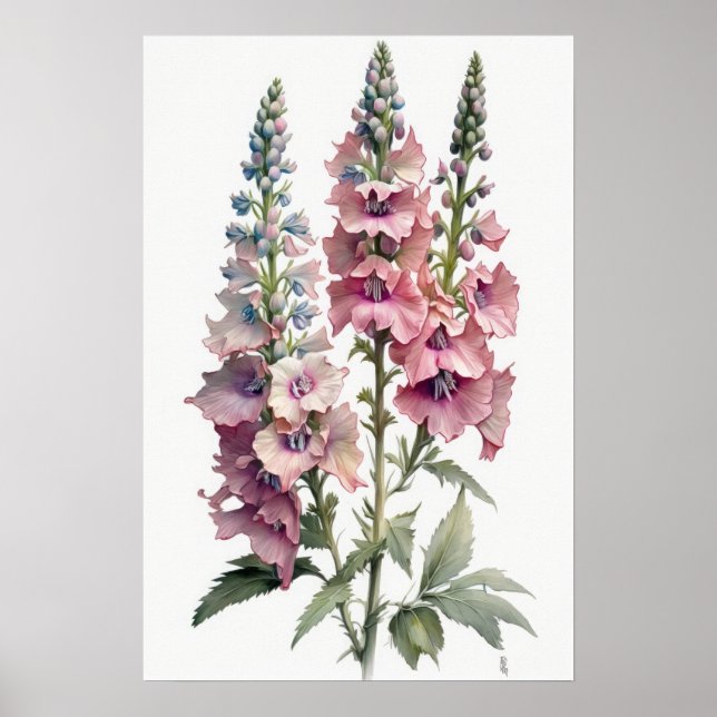 Pink Delphinium Flower Art Print Poster (Front)