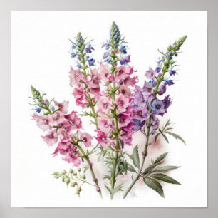 Pink Delphinium Flower Art Print Poster