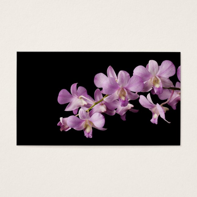 Pink Dendrobium Orchid (Devant)