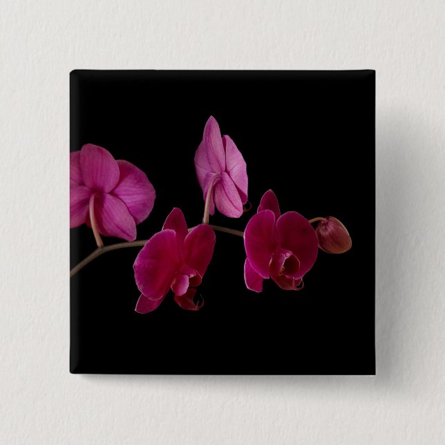 Pink Dendrobium Orchid - Customized Flowers 2 Inch Square Button (Front)