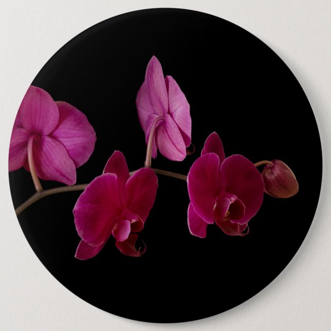 Pink Dendrobium Orchid - Customized Flowers 6 Inch Round Button (Front)
