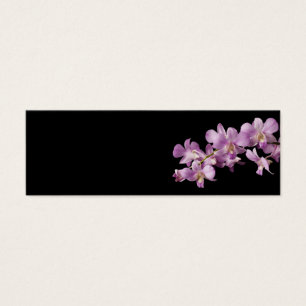 Pink Dendrobium Orchid Flower on Black - Orchids