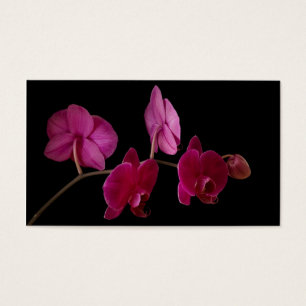 Pink Dendrobium Orchid on Black - Customized