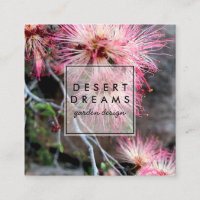 Pink Desert Fairy Duster Wildflower Photo Travel 
