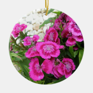 Pink Dianthus/Sweet William Ceramic Ornament