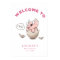 Pink Dinosaur Theme Baby Shower Welcome