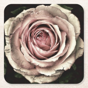 Pink Distressed Rose - Paper Coaster