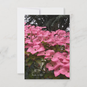 Pink Dogwood Card