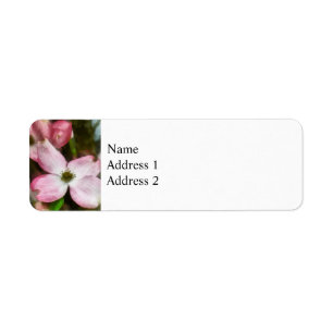 Pink Dogwood Closeup