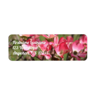 Pink Dogwood Flower Blossoms Adresse de peinture