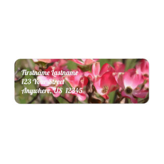 Pink Dogwood Flower Blossoms Adresse de peinture