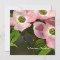Pink Dogwood Flowers Birthday