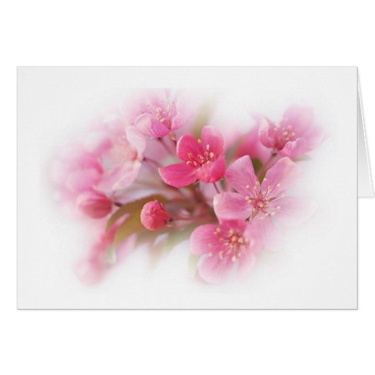 pink dogwood flowers card
