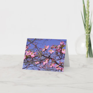 Pink Dogwood Thank You Card