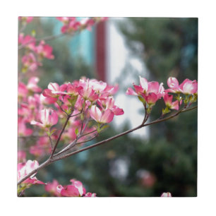 Pink Dogwood Tile
