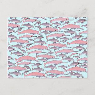 Pink Dolphin Pattern Postcard