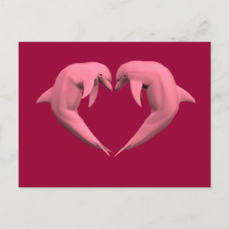Pink Dolphins Postcard