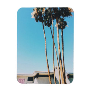 Pink Door Of Palm Springs  Magnet