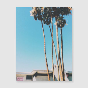 Pink Door Of Palm Springs  Magnet