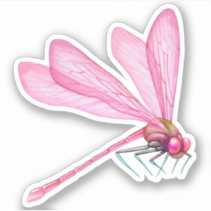 Pink Dragonflies Sticker