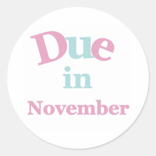 Pink Due in November Classic Round Sticker