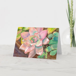 Pink Echeveria greeting card by Debra Lee Baldwin