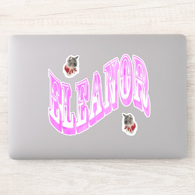 Pink Eleanor Name Logo With Cats, (Computer)
