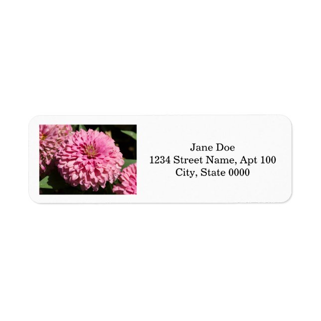 Pink Elegant Zinnia (Front)