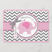 Pink Elephant Bird and Chevron Print Baptism