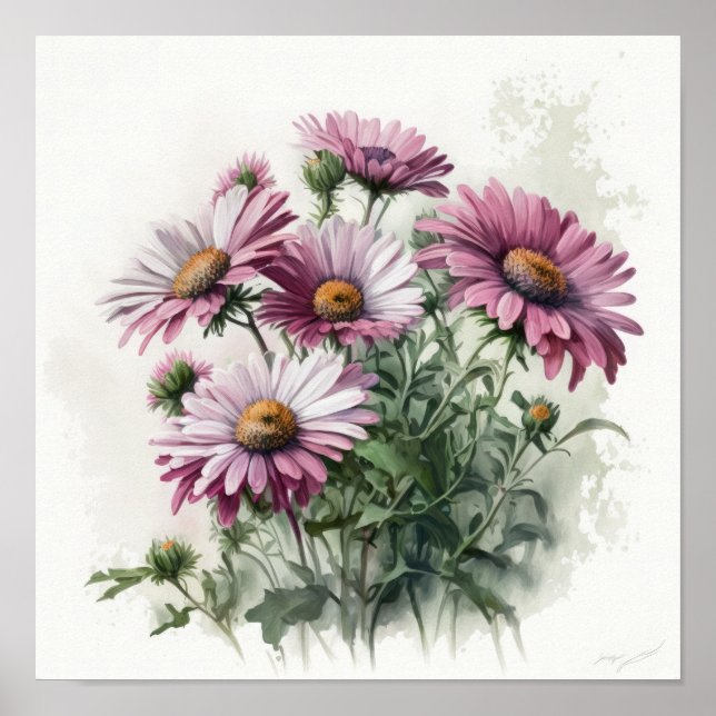 Pink English Daisy Flower Art Print Poster (Front)