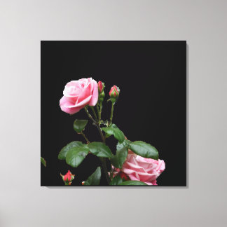 PINK ENGLISH ROSE CANVAS PRINT